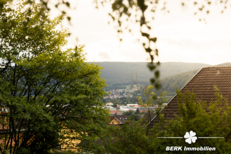 BERK Immobilien – Einfamilienhaus zum Wohlfühlen mit Panoramablick & Waldrandlage in Klingenberg/Röllfeld - Ausblick (117171)