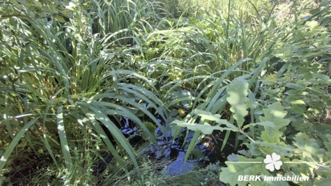 BERK Immobilien – Einfamilienhaus zum Wohlfühlen mit Panoramablick & Waldrandlage in Klingenberg/Röllfeld - Teich (117173)