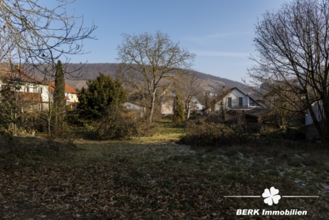 BERK Immobilien – Leben mit Aussicht – Idyllisches Grundstück mit Weitblick über Weinberge und Burgkulisse - Grundstück (116036)