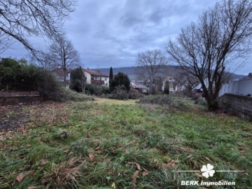 BERK Immobilien – Leben mit Aussicht – Idyllisches Grundstück mit Weitblick über Weinberge und Burgkulisse - Grundstück (109278)