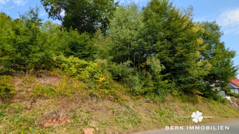 BERK Immobilien – Baugrundstück in naturnaher Lage von Heigenbrücken-Jakobsthal - Hanglage (126727)