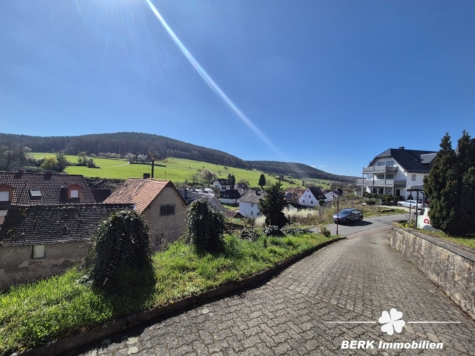 BERK Immobilien – Leben mit Aussicht: idyllisch gelegenes Ein- bis Zweifamilienhaus mit ELW in Sulzbach Soden - Einfahrt (125867)