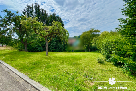 BERK Immobilien – attraktives Baugrundstück mit leichter Hanglage - Baugrundstück (126933)