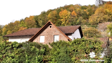 BERK Immobilien – Charmantes Einfamilienhaus direkt am Weinberg in sonniger Lage von Großheubach - Außenansicht (107493)
