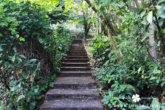 Treppe Zugang