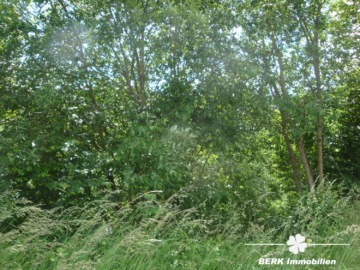 BERK Immobilien – Vielfältig bebaubares Grundstück in ruhiger Lage - Frontansicht (104229)