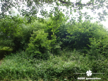 BERK Immobilien – Vielfältig bebaubares Grundstück in ruhiger Lage - Ansicht von unten (104231)