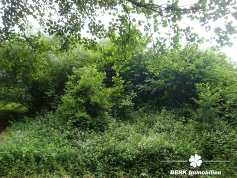 BERK Immobilien – Vielfältig bebaubares Grundstück in ruhiger Lage - Ansicht von unten (115007)