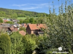 Blick - BERK Immobilien – Privates Wohnidyll im Grünen – Stilvoll leben auf parkähnlichem Grundstück