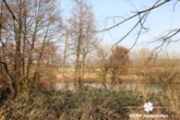 Ansicht 4 - BERK Immobilien – ++Mainlage++ Traumgrundstück Am Schwalbennest – Teilbar!! 295,00/m²
