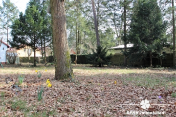 BERK Immobilien – ++Mainlage++ Traumgrundstück Am Schwalbennest – Teilbar!! 295,00/m² - Ansicht 8 (104076)