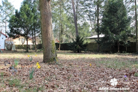 BERK Immobilien – ++Mainlage++ Traumgrundstück Am Schwalbennest – Teilbar!! 295,00/m² - Ansicht 8 (114922)