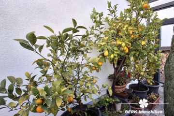 BERK Immobilien – Charmante Doppelhaushälfte mit hohen Wohlfühlfaktor in Elsenfeld - Wintergarten (109267)