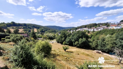 BERK Immobilien – Großzügiges Wohnhaus mit viel Platz und vielfältigen Möglichkeiten in Lützelbach - Aussicht (125738)