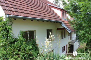 Traditioneller Schwarzwaldhof im idyllischen Kinzigtal, mitten im Herzen des Mittleren Schwarzwalds. - Außenansicht Ost (106136)