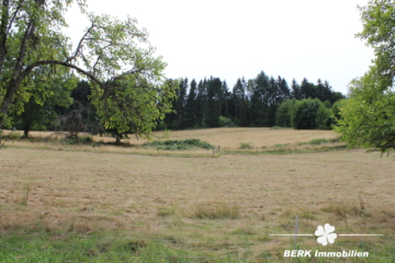 Traditioneller Schwarzwaldhof im idyllischen Kinzigtal, mitten im Herzen des Mittleren Schwarzwalds. - Wiese hinter Anwesen (106165)