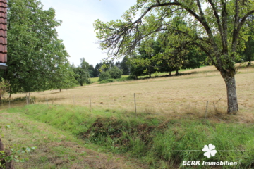 Traditioneller Schwarzwaldhof im idyllischen Kinzigtal, mitten im Herzen des Mittleren Schwarzwalds. - Wiese hinter Anwese (106166)