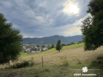 Traditioneller Schwarzwaldhof im idyllischen Kinzigtal, mitten im Herzen des Mittleren Schwarzwalds. - Ausblick ins Tal (106137)