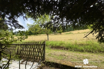 Traditioneller Schwarzwaldhof im idyllischen Kinzigtal, mitten im Herzen des Mittleren Schwarzwalds. - Wiese hinter Anwesen (106160)