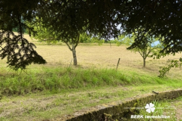 Traditioneller Schwarzwaldhof im idyllischen Kinzigtal, mitten im Herzen des Mittleren Schwarzwalds. - Wiese hinter Anwesen (106164)