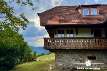 Traditioneller Schwarzwaldhof im idyllischen Kinzigtal, mitten im Herzen des Mittleren Schwarzwalds. - Außenansicht Westen (106134)
