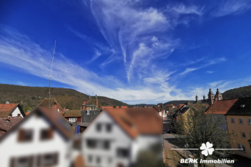 BERK Immobilien – Teilrenoviertes gemütliches Altstadthäuschen in zentraler Lage von Amorbach - BERK Immobilien - Ausblick Dachfenster (106647)