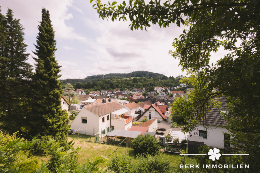 Blick