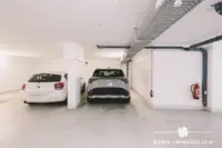 TG