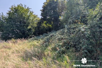 BERK Immobilien – Baugrundstück in Ochsenfurt mit Gestaltungsspielraum - Grundstück (107393)