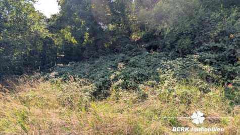 BERK Immobilien – Baugrundstück in Ochsenfurt mit Gestaltungsspielraum - Grundstück (115320)