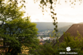 Ausblick - BERK Immobilien – Einfamilienhaus zum Verlieben mit Panoramablick & Waldrandlage in Klingenberg/Röllfeld