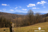 Aussicht aus dem Garten - BERK Immobilien – Einfamilienhaus mit Weitblick & außergewöhnlichem Grundstück