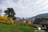 Garten - BERK Immobilien – Gartenparadies am Waldrand mit gigantischem Ausblick – Haus in TE in Laudenbach