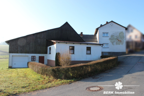 BERK Immobilien – Ländliches Anwesen mit Scheune, Garagen und viel Potenzial in Schippach - Hofansicht (117422)