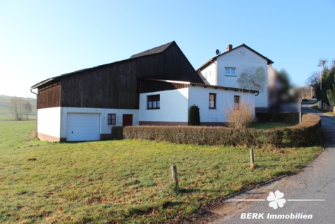 BERK Immobilien – Ländliches Anwesen mit Scheune, Garagen und viel Potenzial in Schippach - Hofansicht (117421)