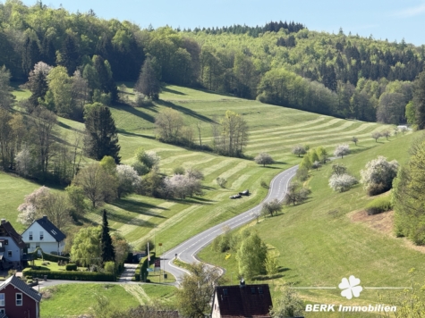 RESERVIERT – BERK Immobilien – Charmantes Einfamilienhaus in idyllischer Hanglage von Rothenbuch - Ausblick (117676)