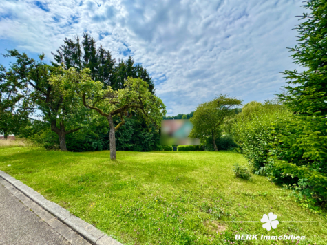 BERK Immobilien – attraktives Baugrundstück mit leichter Hanglage - Baugrundstück (117078)