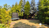 Garten 3 (KI unterstützte Darstellung)