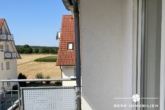 kleiner Feldblick