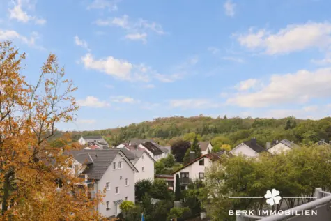 BERK Immobilien – Exklusives Penthouse mit Aufzugzugang, großzügiger Terrasse und Odenwaldblick - Aussicht (131685)