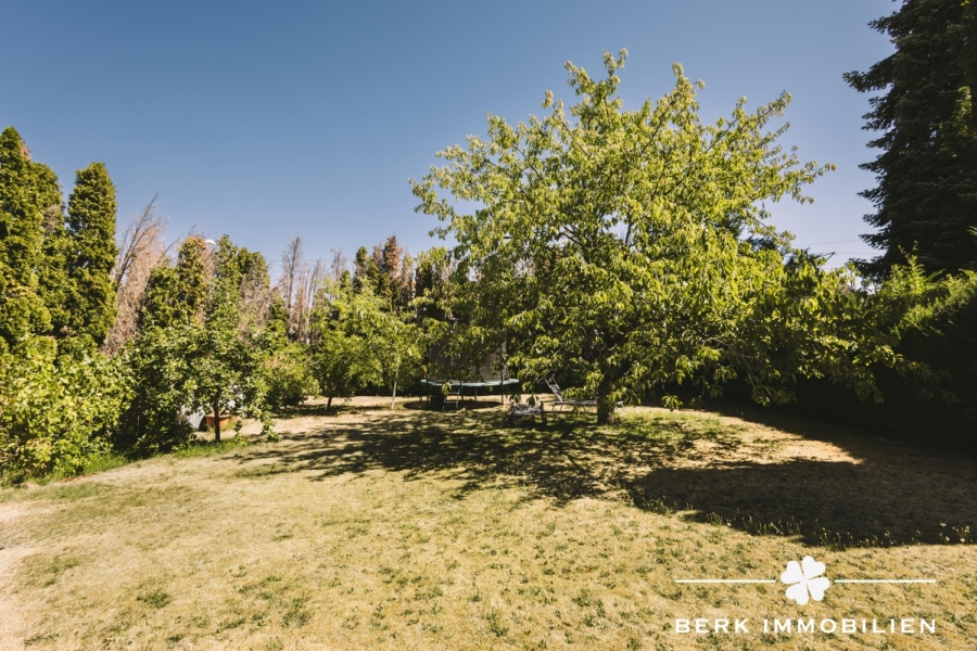 Garten mit Kirschbaum