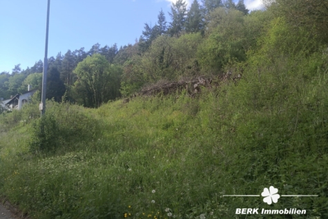 BERK Immobilien – Naturnahes sonniges Baugrundstück – Platz für zwei Wohnhäuser in Rippberg/Walldürn - Titelbild (115009)