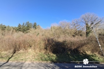 BERK Immobilien – Naturnahes sonniges Baugrundstück – Platz für zwei Wohnhäuser in Rippberg/Walldürn - Bild (104288)