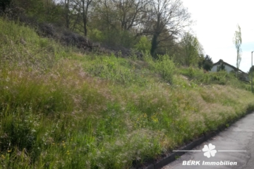 BERK Immobilien – Naturnahes sonniges Baugrundstück – Platz für zwei Wohnhäuser in Rippberg/Walldürn - Bild (104285)
