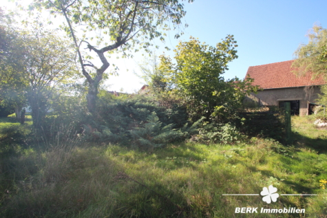 BERK Immobilien – bebautes Bauträgergrundstück + Gartengrundstück in begehrter Main-Lage - Titelbild (116085)