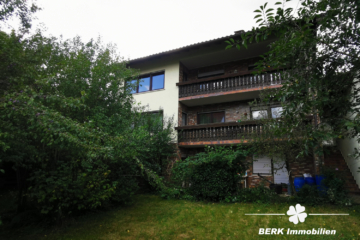 BERK Immobilien – MFH, Mehrgenerationenhaus, Anlageobjekt – Gelegenheit in Eschau mit drei Wohnungen - BERK Immobilien - Ansicht vom Garten (104947)