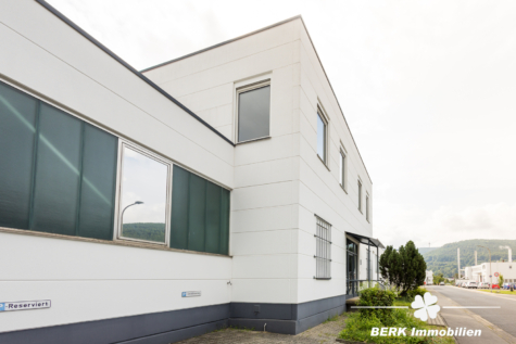 BERK Immobilien – Gewerbeobjekt mit Büro- und Hallenflächen für vielseitige Nutzung - Außenansicht (128834)