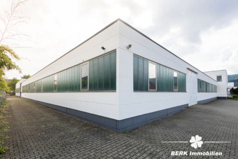 BERK Immobilien – Gewerbeobjekt mit Büro- und Hallenflächen für vielseitige Nutzung - Außenansicht (128836)