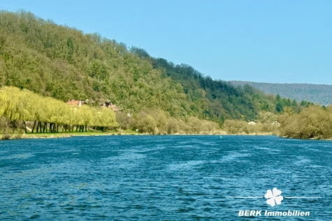 BERK Immobilien – Wohnen mit Stil – EFH mit Mainblick & Terrasse in Stadtprozelten - Umgebungsimpressionen (118747)