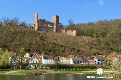 BERK Immobilien – Wohnen mit Stil – EFH mit Mainblick & Terrasse in Stadtprozelten - Ausblick von der Fähre (118746)